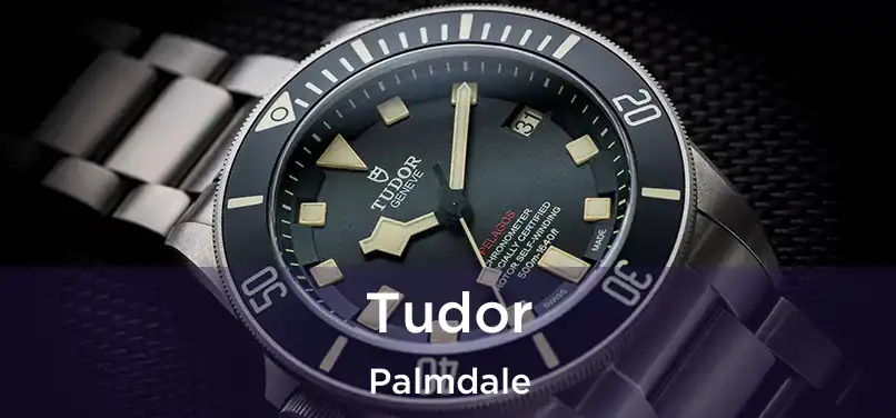 Tudor Palmdale