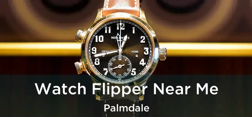 Watch Flipper Near Me Palmdale